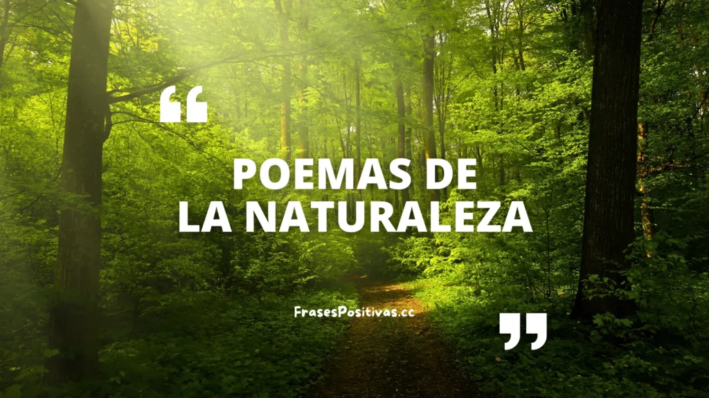 Descubre los mejores Poemas de la Naturaleza: 150+ poemas cortos, largos, rimados y para niños 🌿