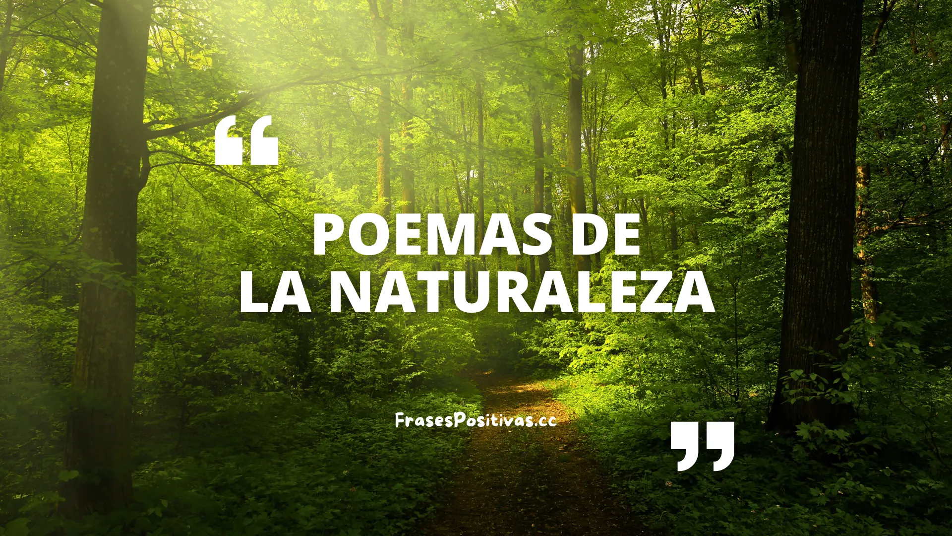 150-poemas-de-la-naturaleza-belleza-y-diversidad